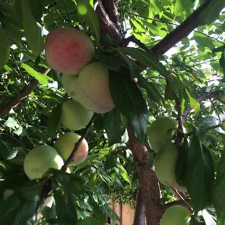 Villa Fairways Belek